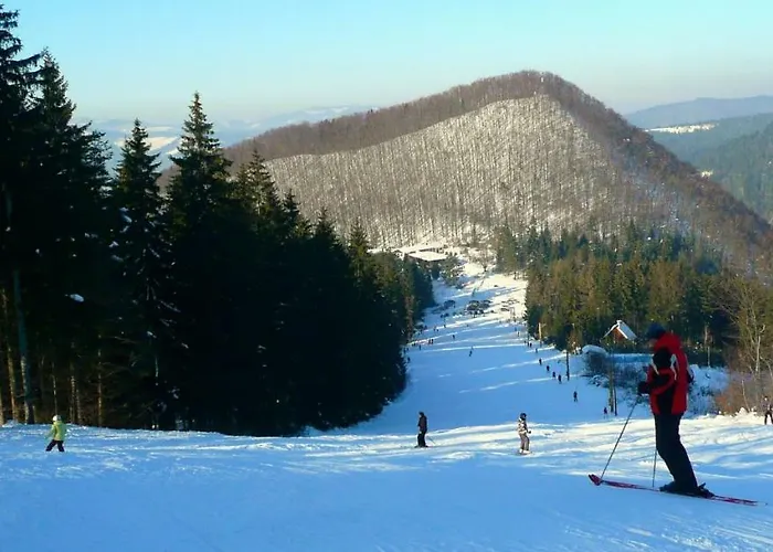 Alpesi faház Velke Ostre